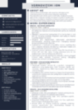 Software Developer