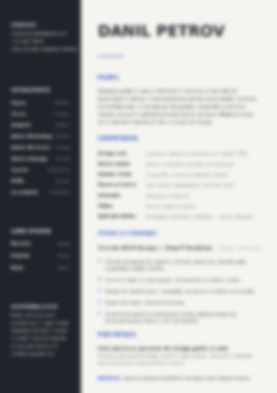 Graphic Designer