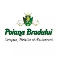 Poiana bradului