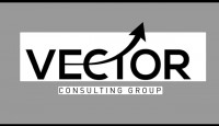 Vector Consalting