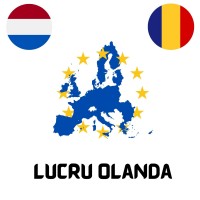 Muncă Olanda