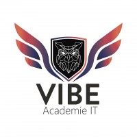 Vibe Academy S.R.L.