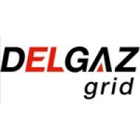 Delgaz Grid S.A.