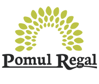 Pomul Regal