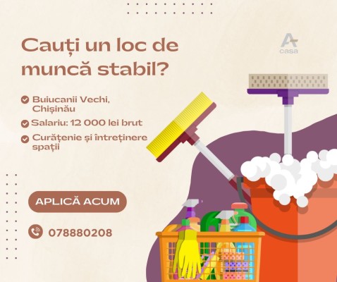 Îngrijitoare încăperi