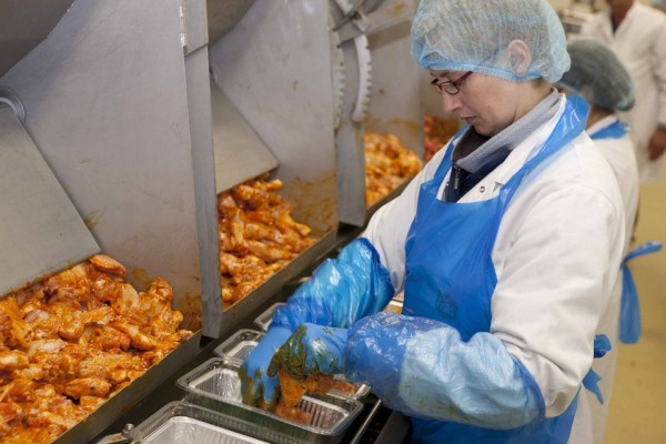 Producator/Ambalator (mixarea condimentelor) Olanda