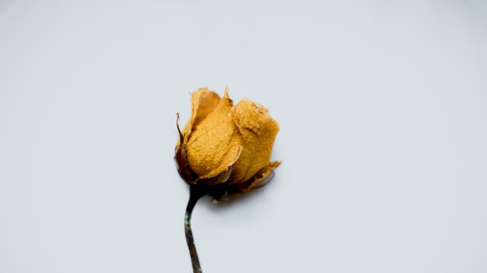 e3873a71a4ef581eca6d470f05cd6e23.jpg