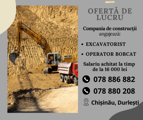 Conducător încărcător (Bobcat)