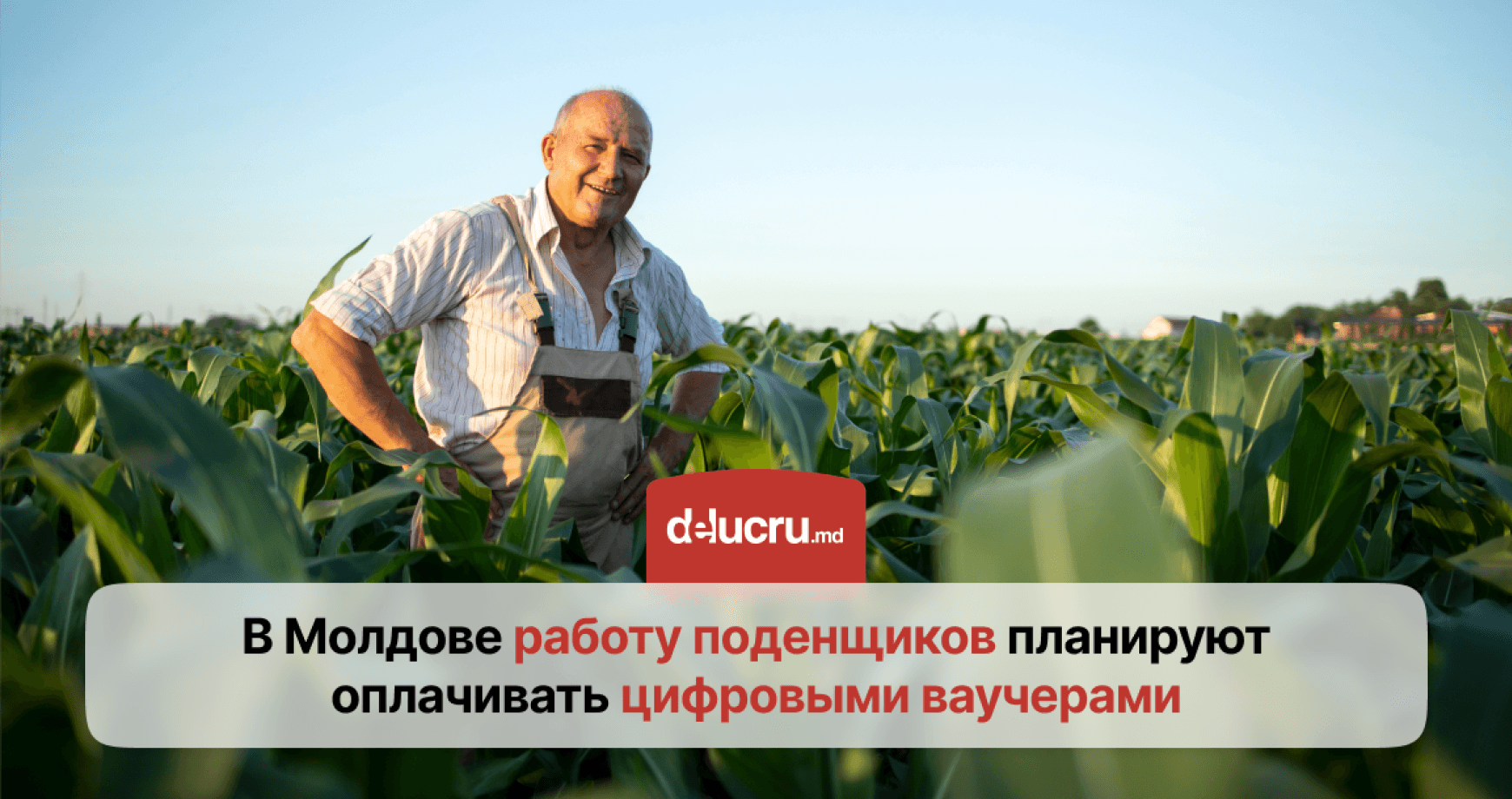 Оплата без наличных: поденщикам в Молдове будут платить цифровыми ваучерами