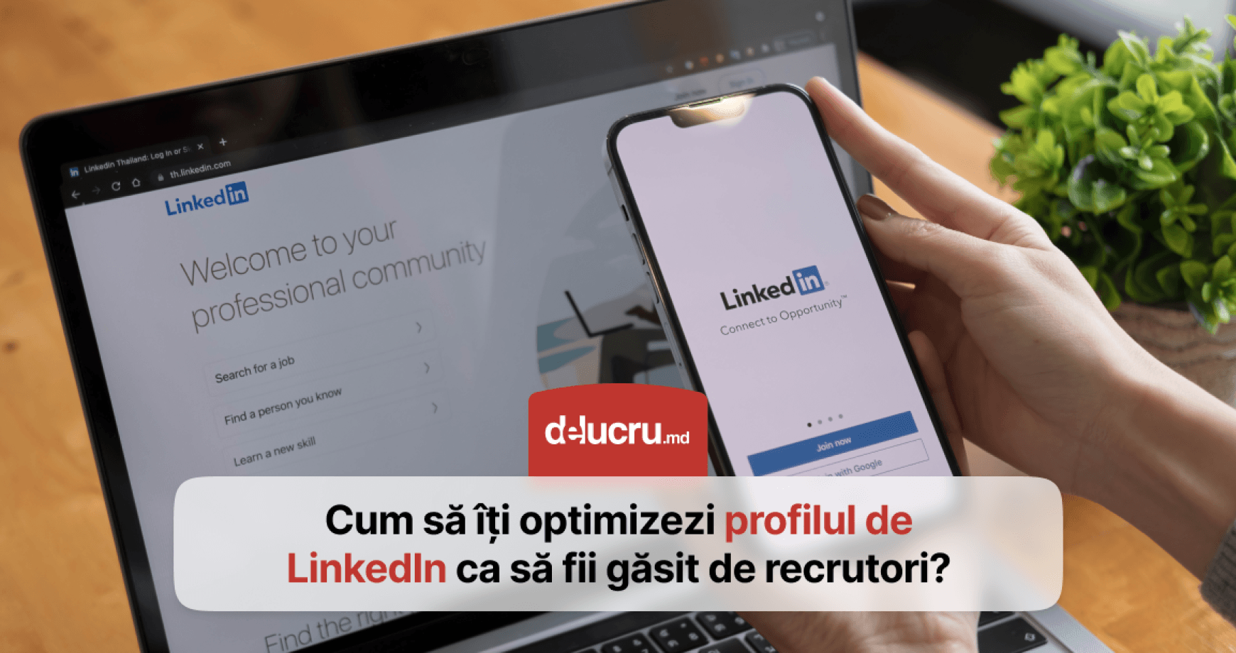 Cum să-ți îmbunătățești profilul de LinkedIn pentru a apărea mai sus în căutări?