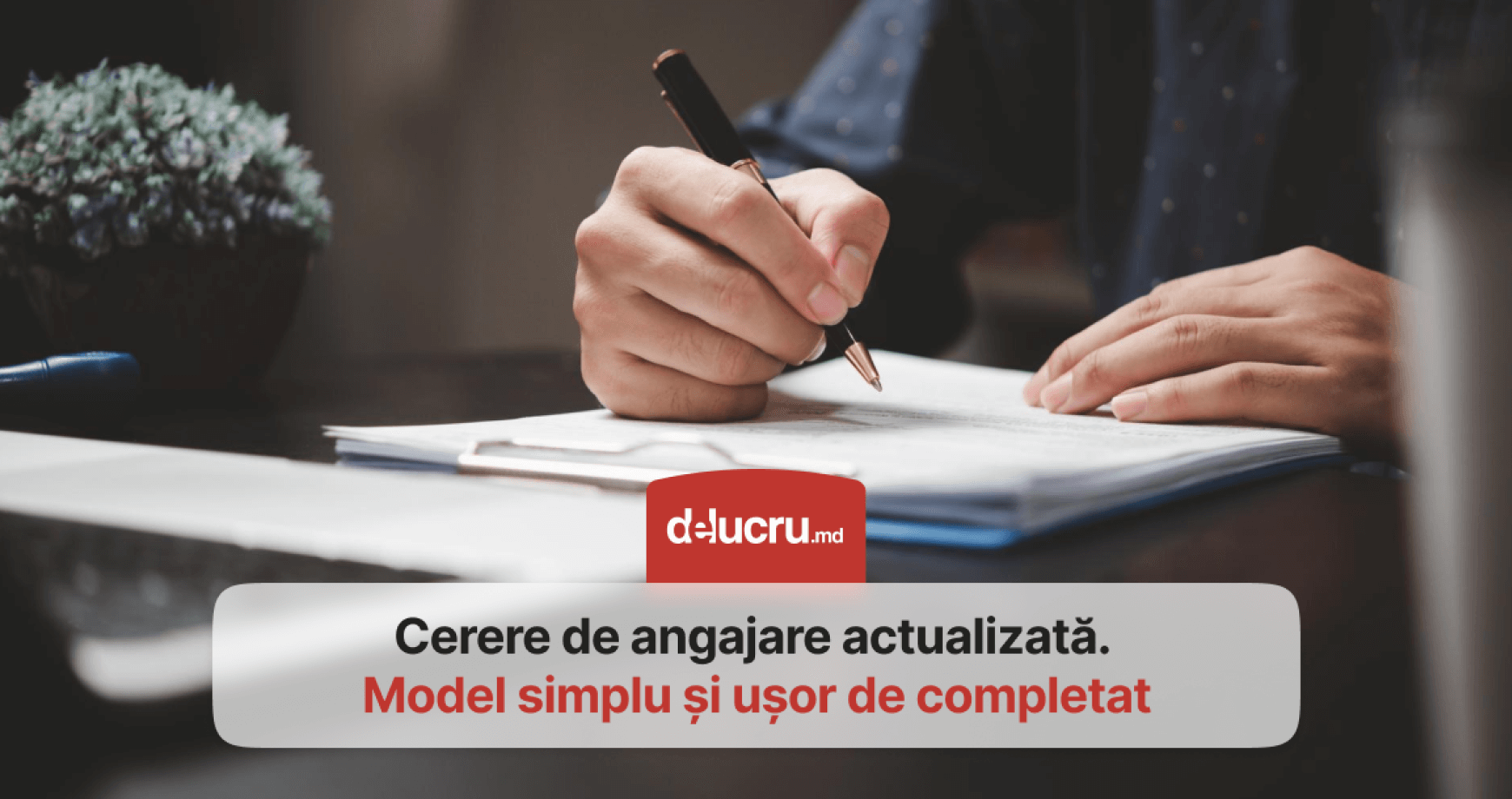 Cerere de angajare actualizată. Model simplu și ușor de completat