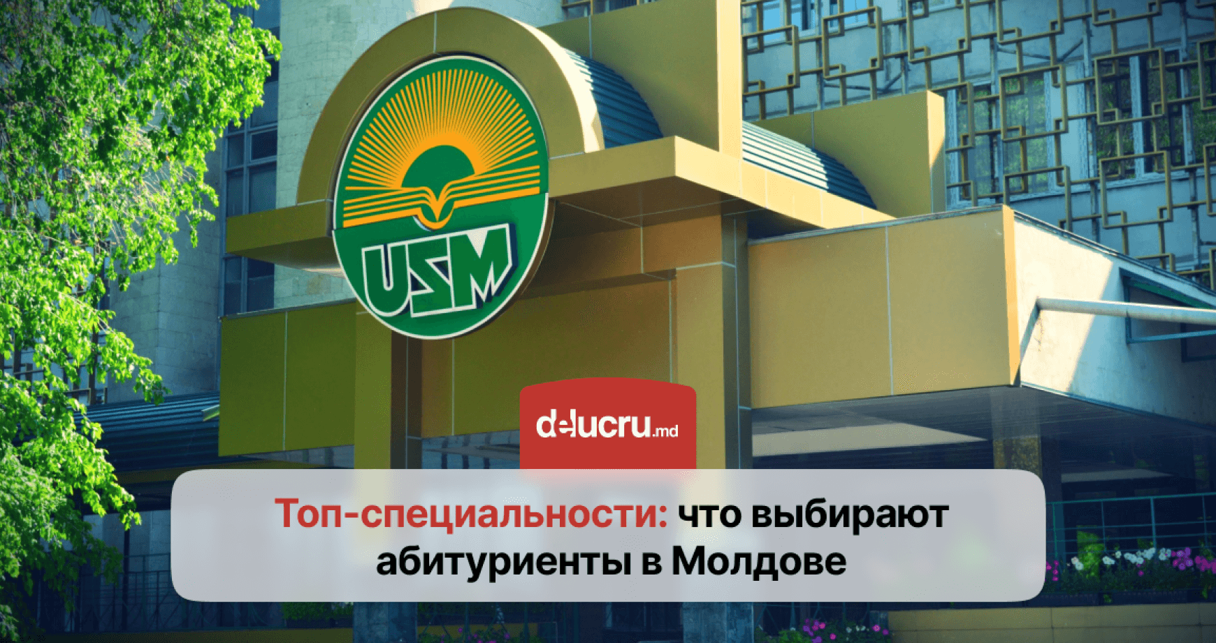 Самые популярные направления в университетах Молдовы