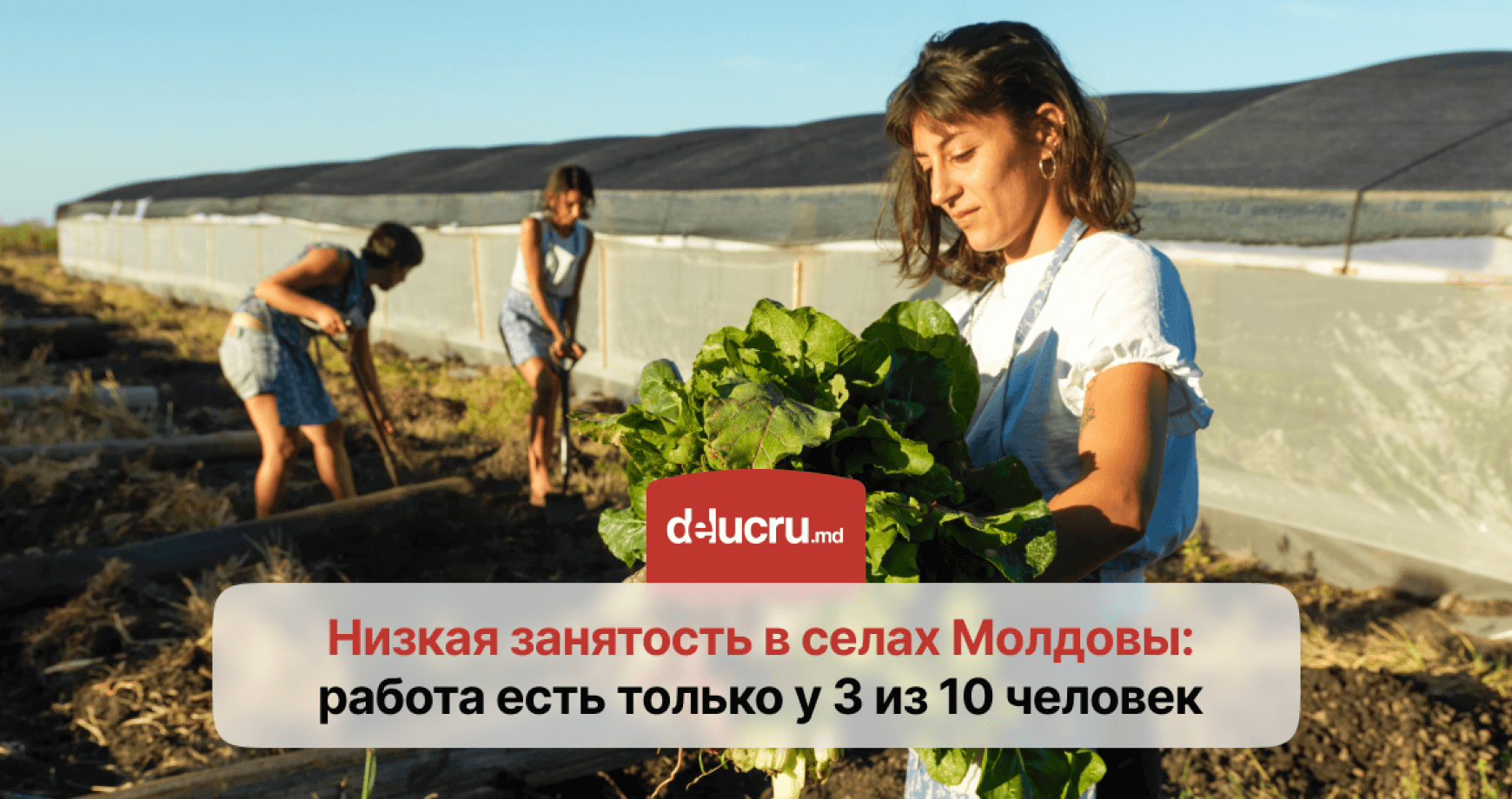 Кризис на рынке труда: почему занятость в Молдове падает?
