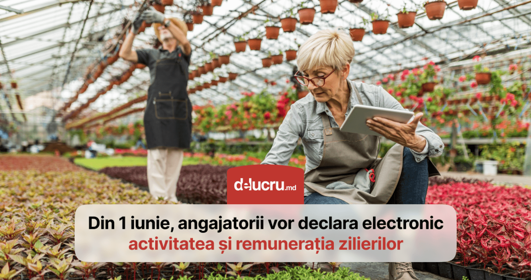 Din 1 iunie, angajatorii vor fi obligați să înregistreze zilierii într-un sistem electronic