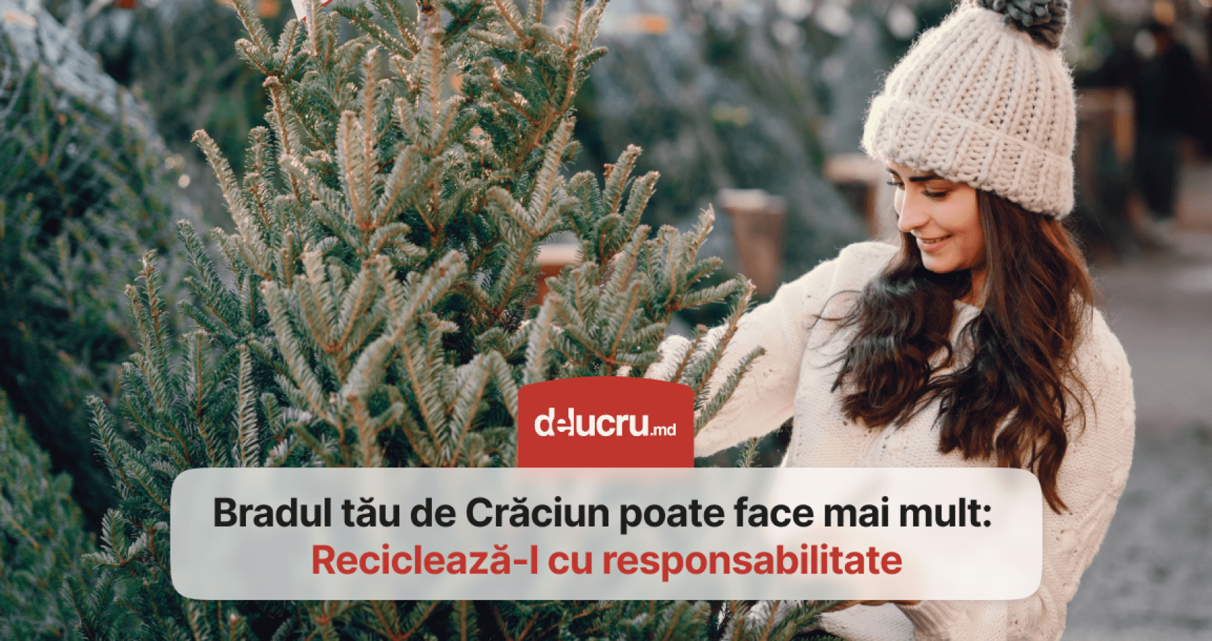 Ce facem cu bradul de Crăciun din oficiu, după sărbători? 