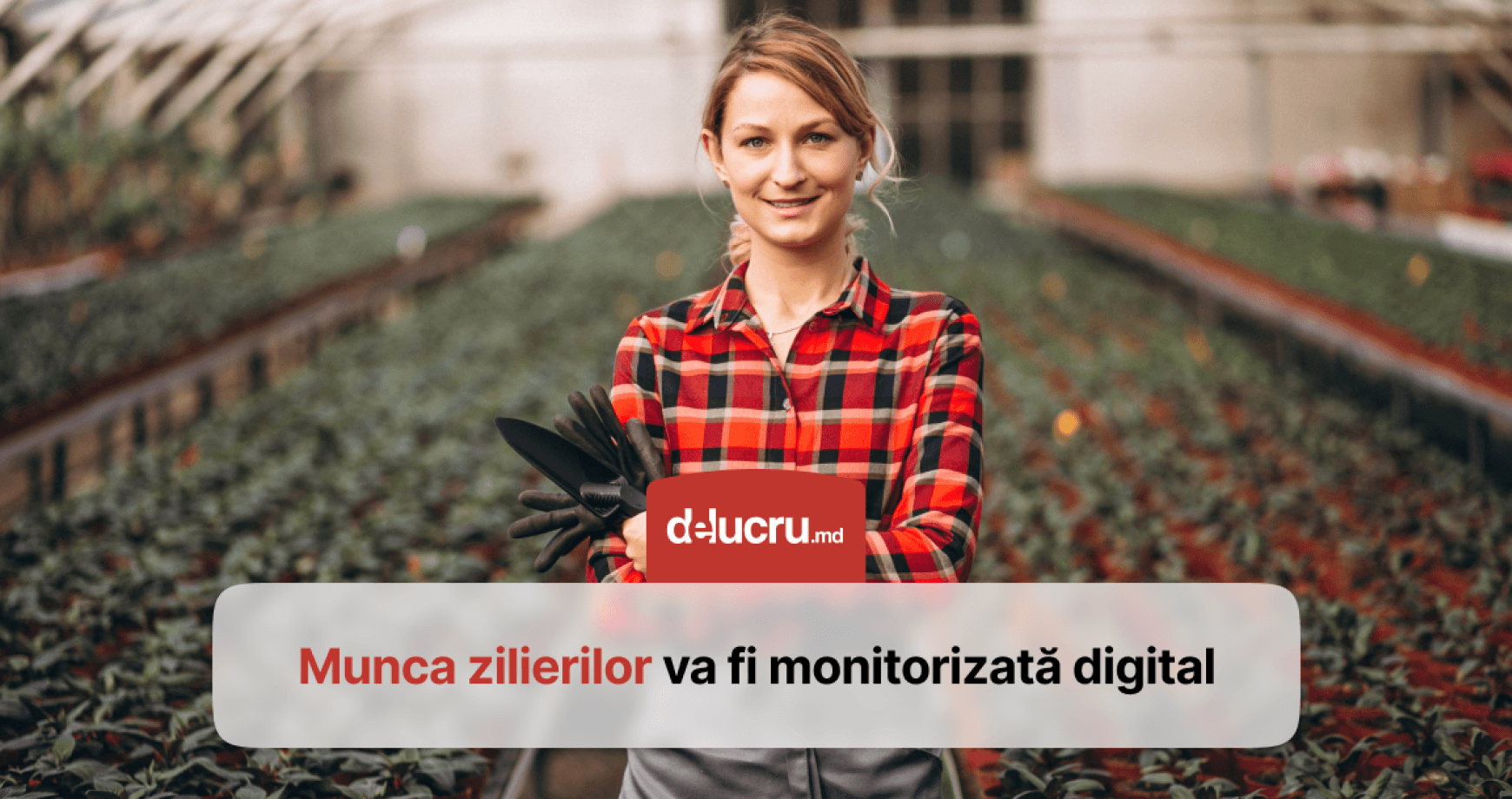 Activitatea zilierilor va fi monitorizată printr-un sistem electronic