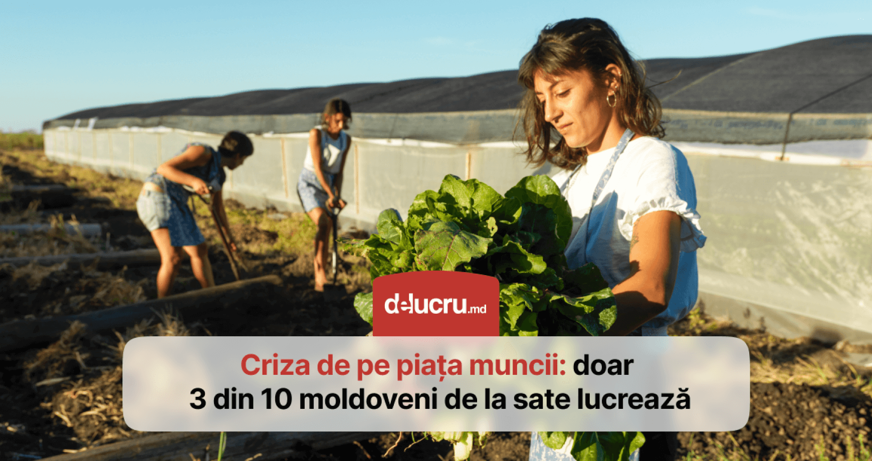 La sat, munca e un lux: doar 3 din 10 moldoveni au un post de lucru