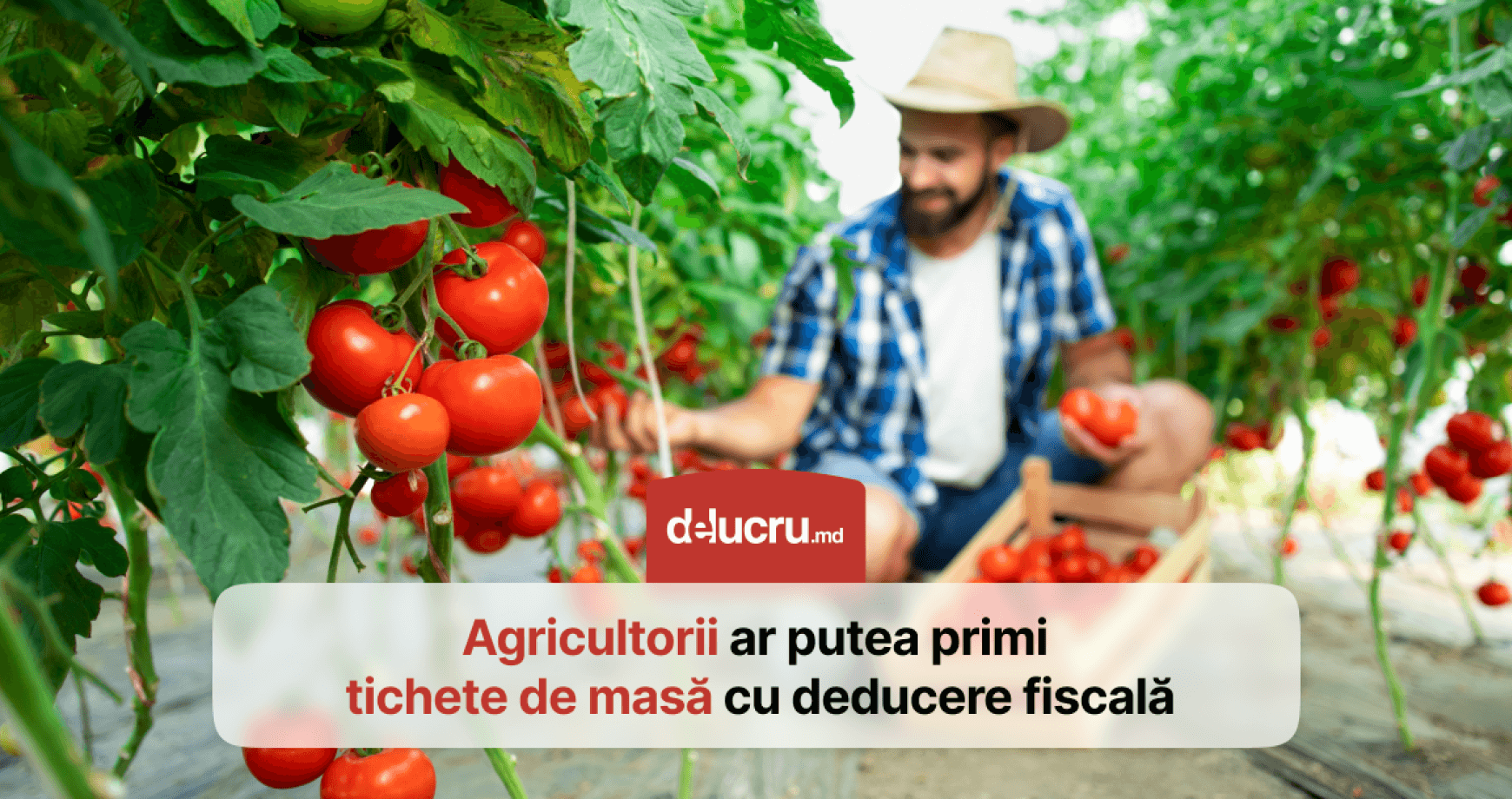 Exclusiv! Și angajații din agricultură ar putea beneficia de tichete de masă