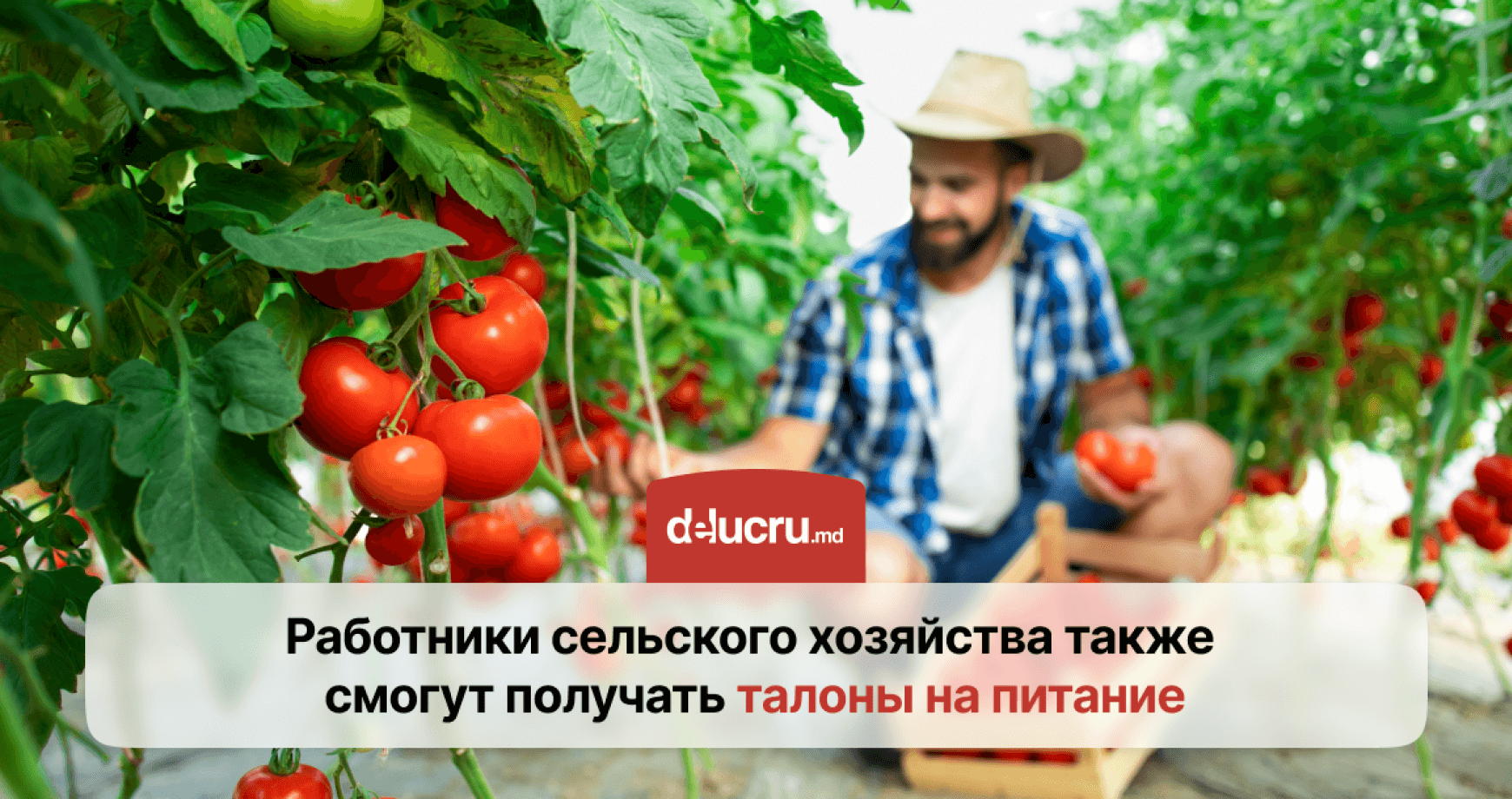 Аграрии получат талоны на питание с налоговыми льготами