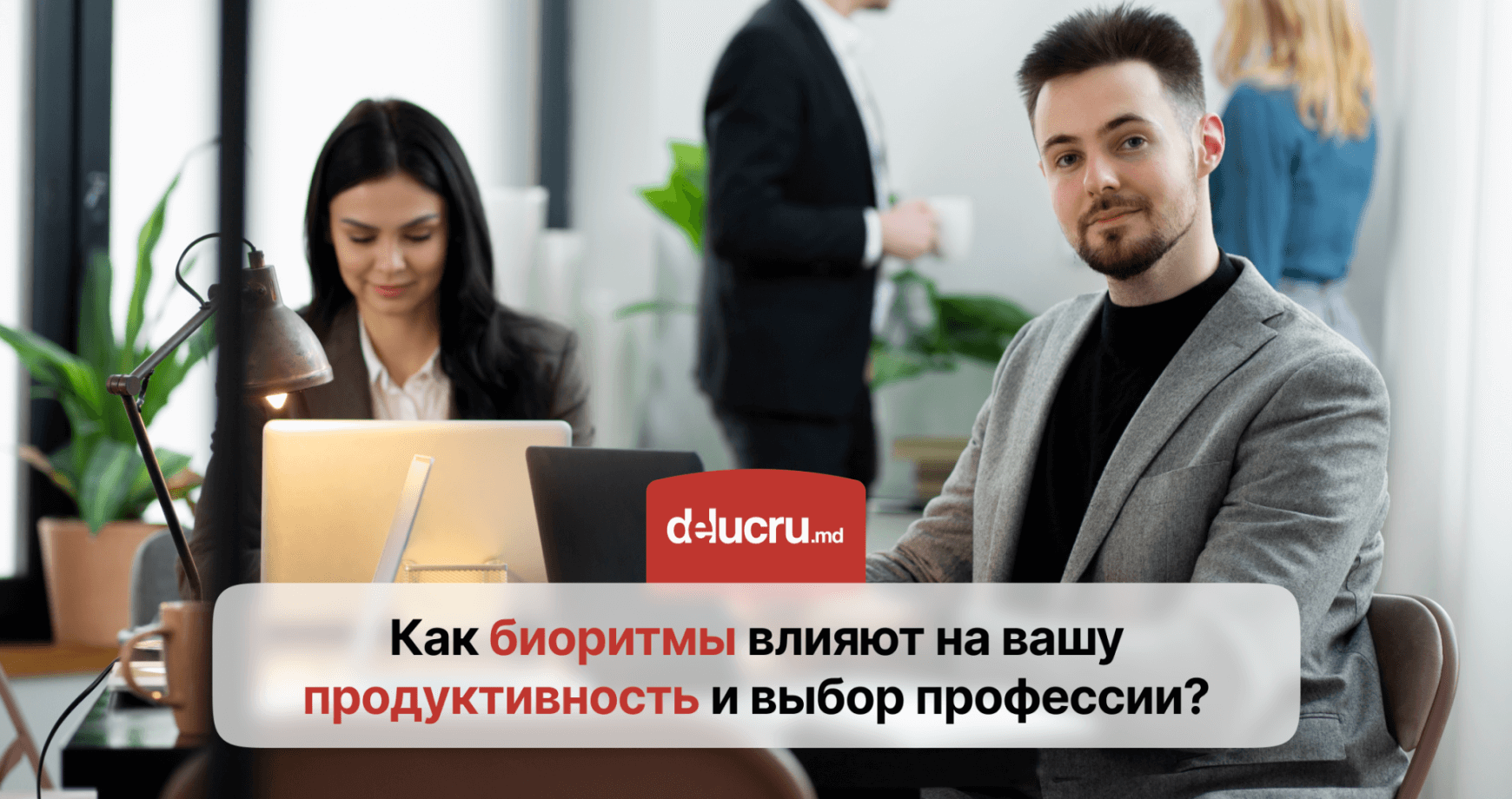 Сова, жаворонок или голубь? Как ваш хронотип влияет на карьеру