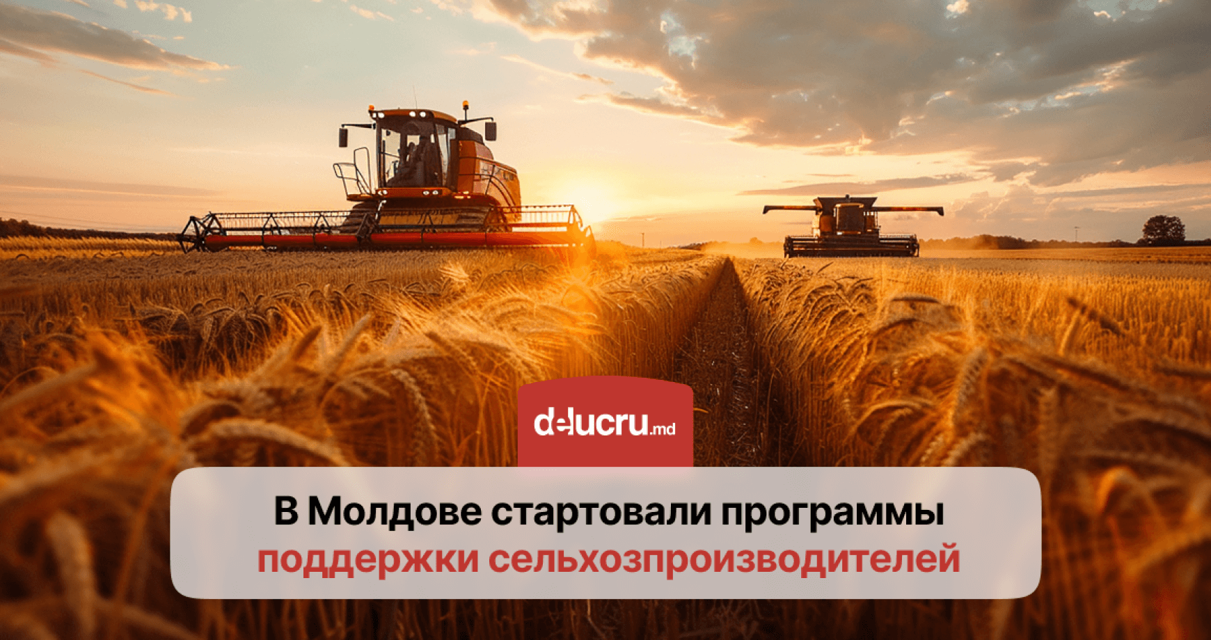 Аграрии Молдовы могут подать заявки на новые субсидии и гранты
