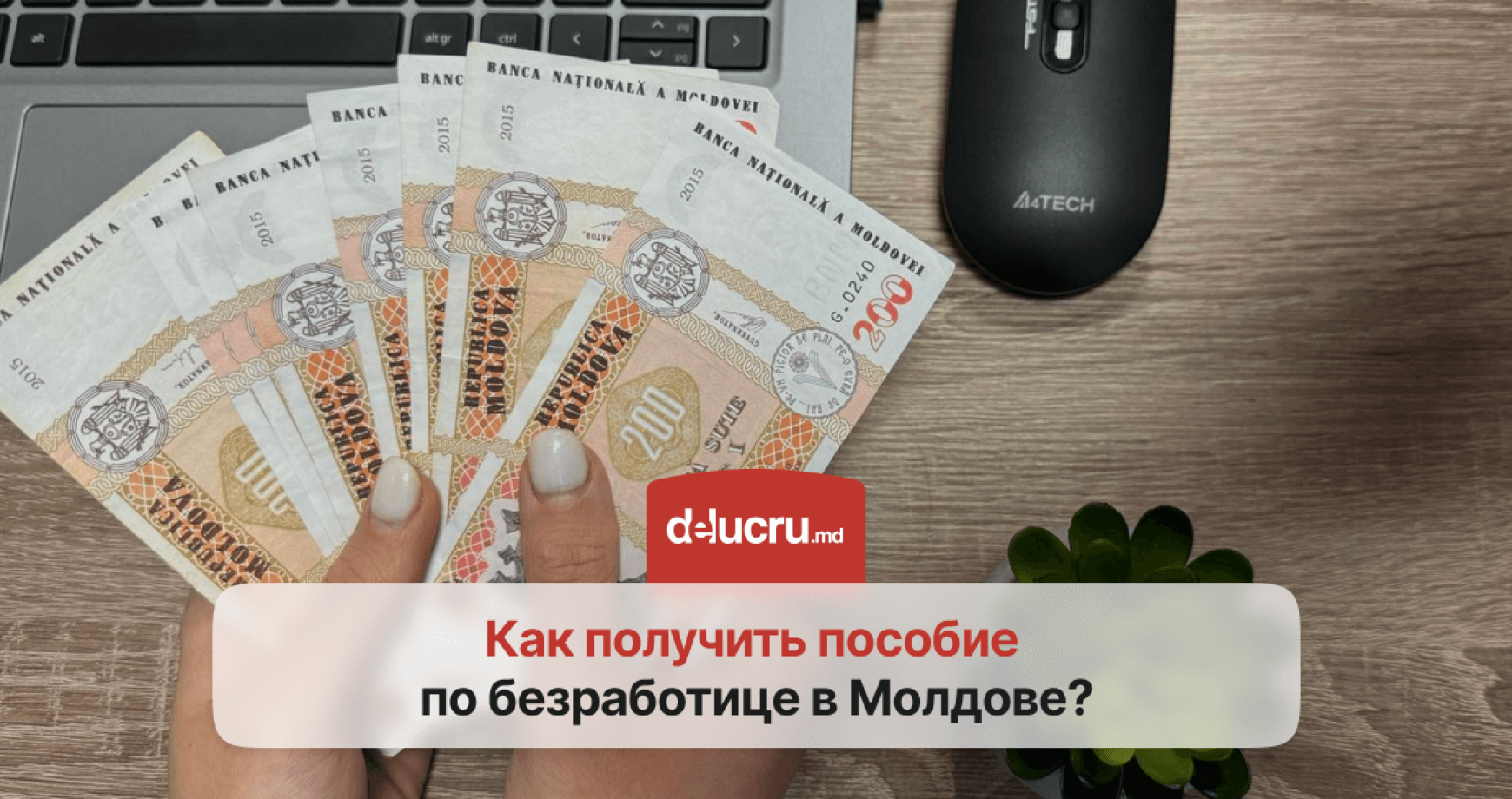 Пособие по безработице в Молдове: кому положено и как оформить?