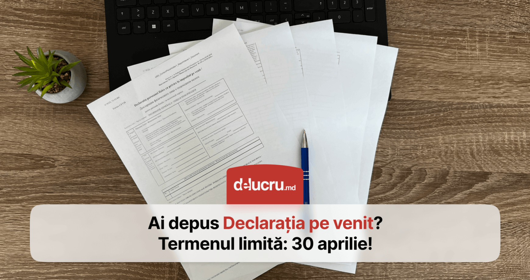 Delucru.md te ajută să completezi Declarația pe venit pentru 2024