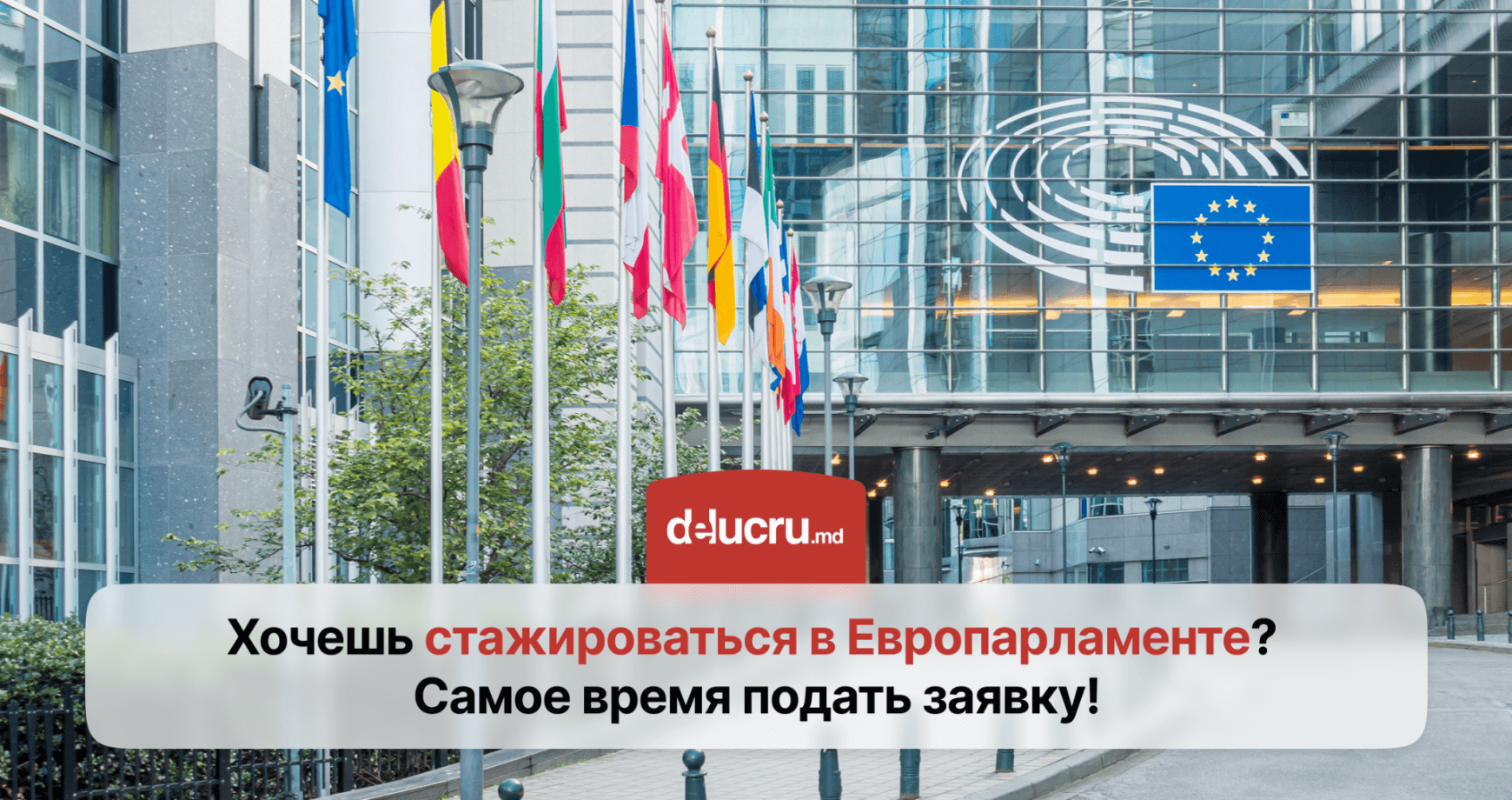 Стажировка в Европарламенте: открыт приём заявок на осеннюю сессию