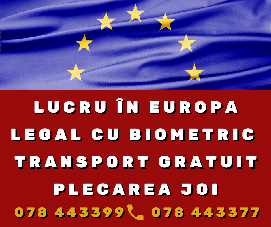 Lucru la combinatul European de carne! RO/PL