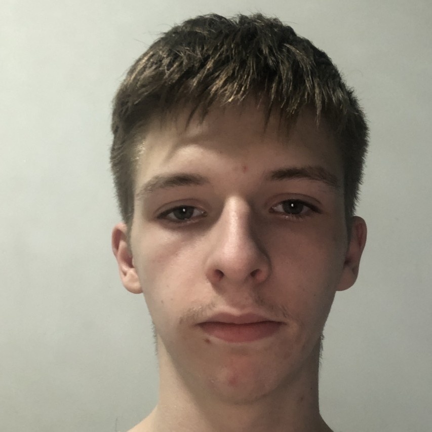 Vanzator 