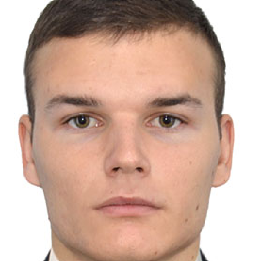 Muncitor auxiliar, paznic, curier, sofer 