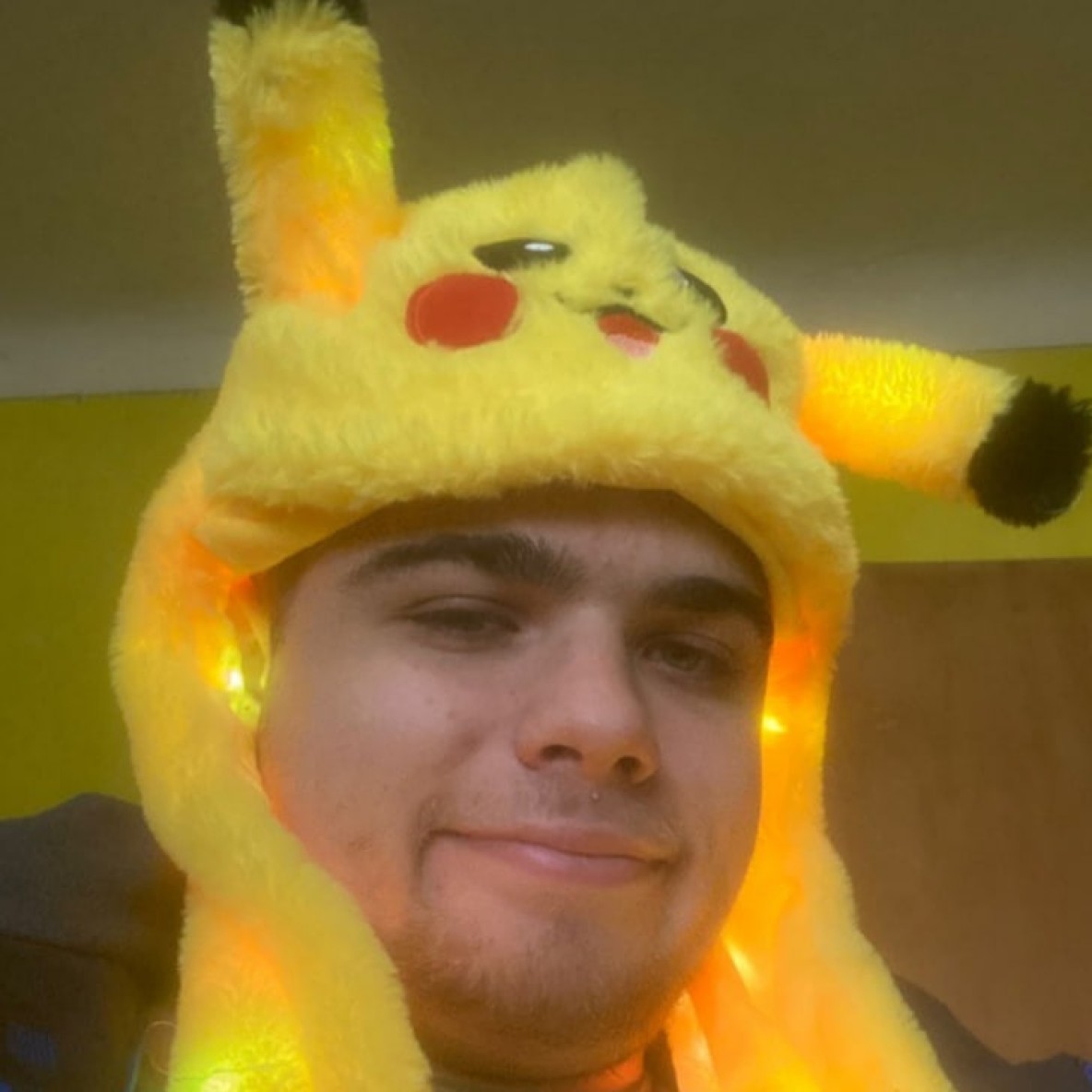 Аналитик данных