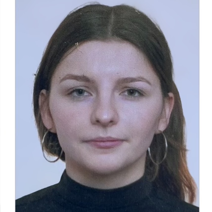 Merchandiser, personal la curatenie, vanzator 