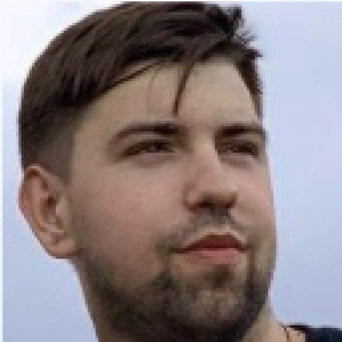 Java Software Developer