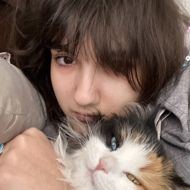 Я готов /а принять любую должность