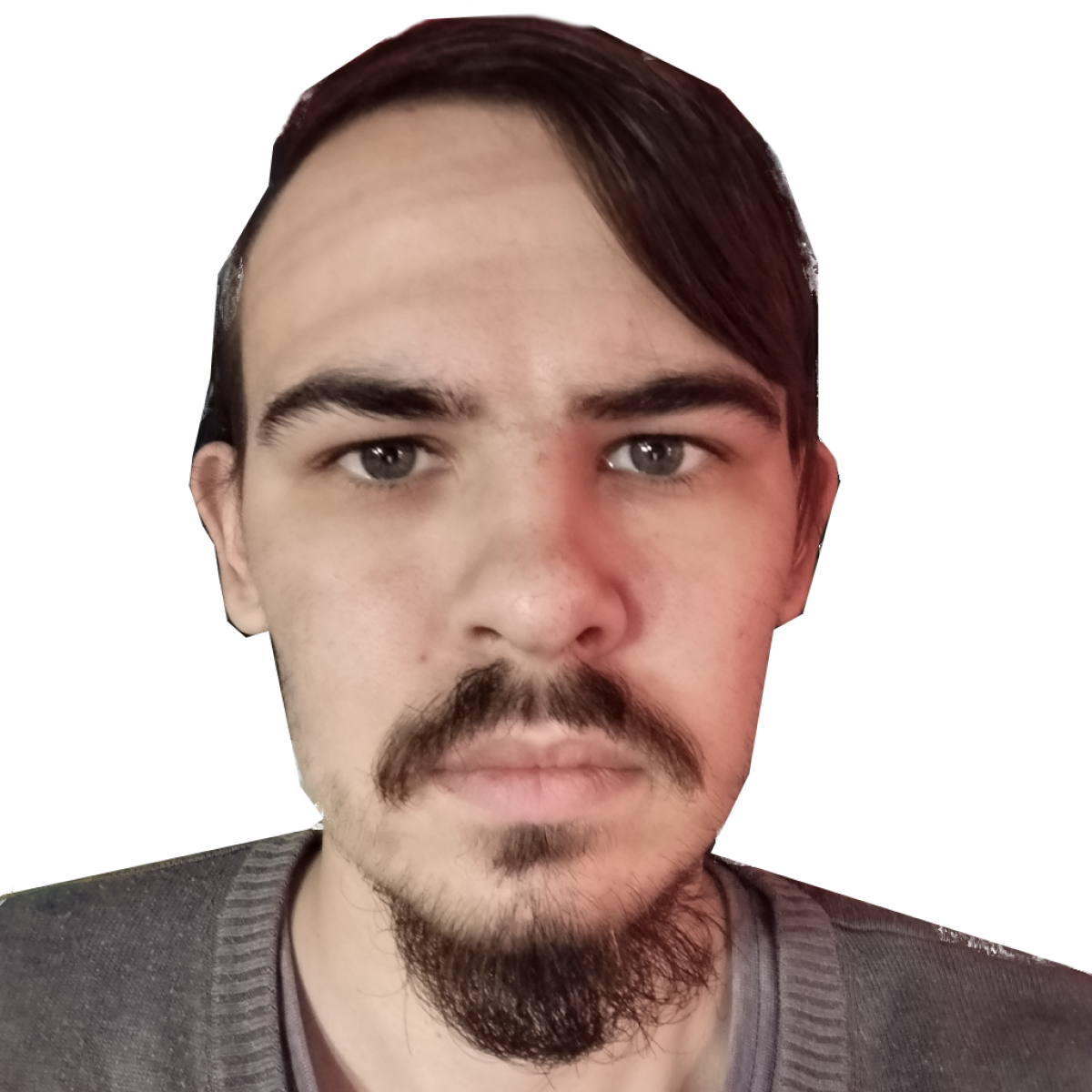 Dezvoltator aplicațiilor mobile / Разработчик мобильных приложений