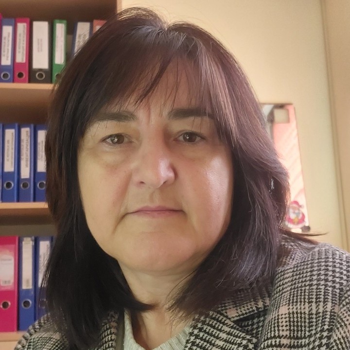 Главный бухгалтер/бухгалтер, contabil-sef/contabil