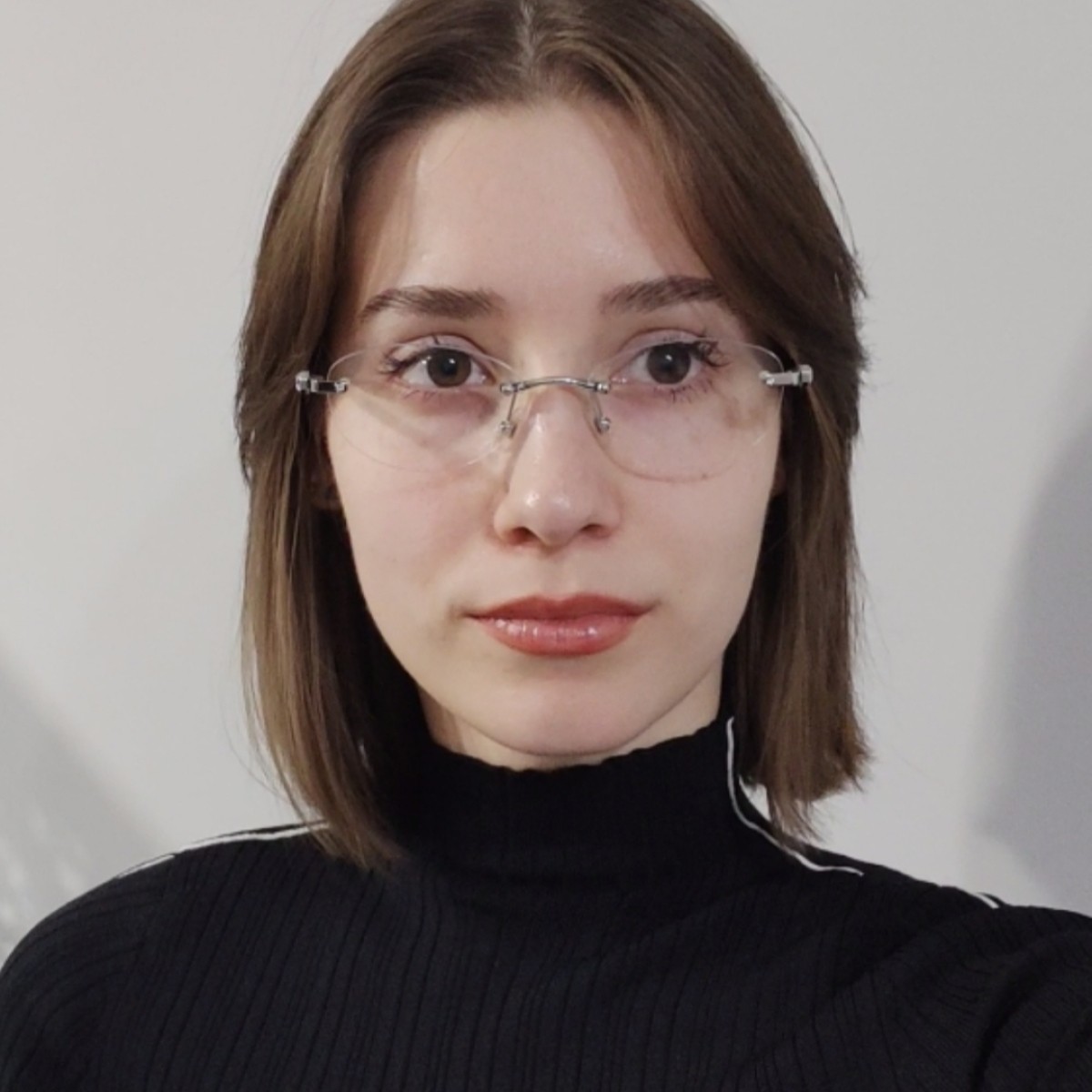 Software Developer; Frontend Developer