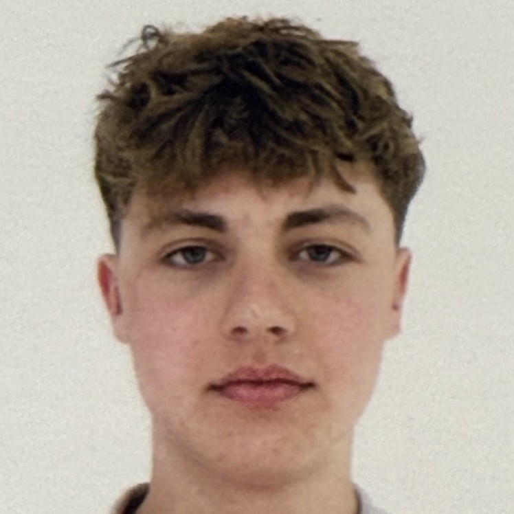 Depozitar, merchandiser, operator call-center 