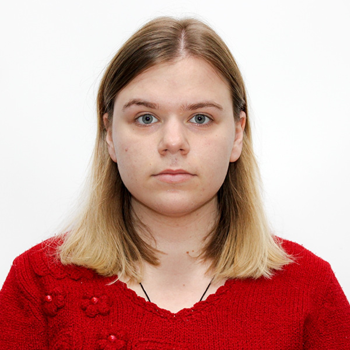 Переводчик