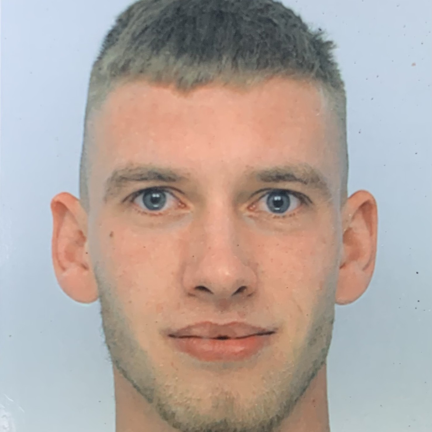 Vanzator consultant/Sofer