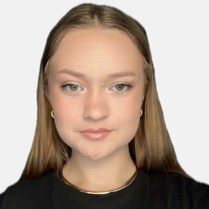 Vanzator 