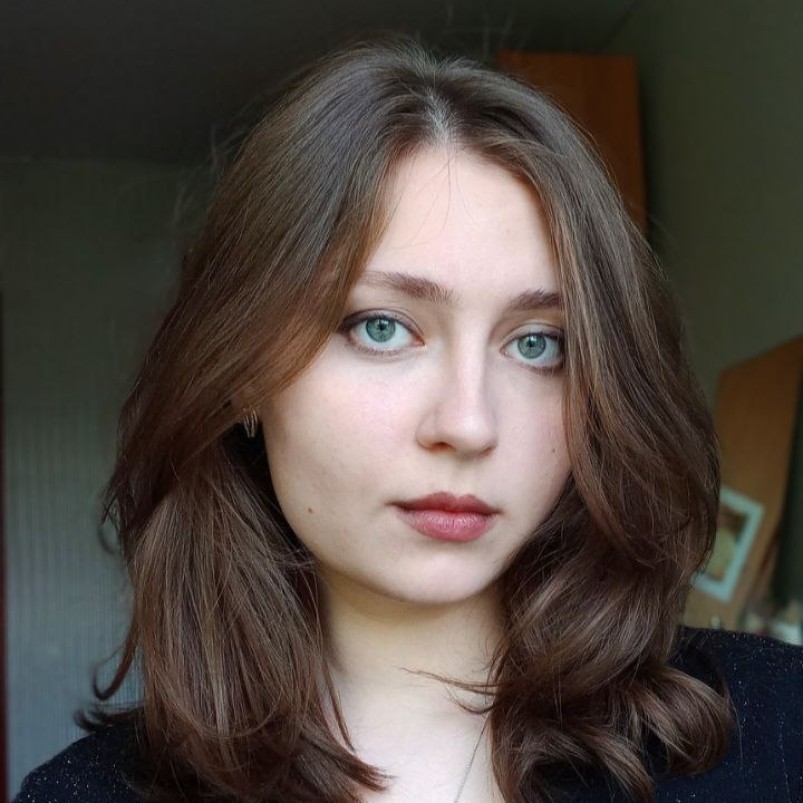 Operator introducere date 