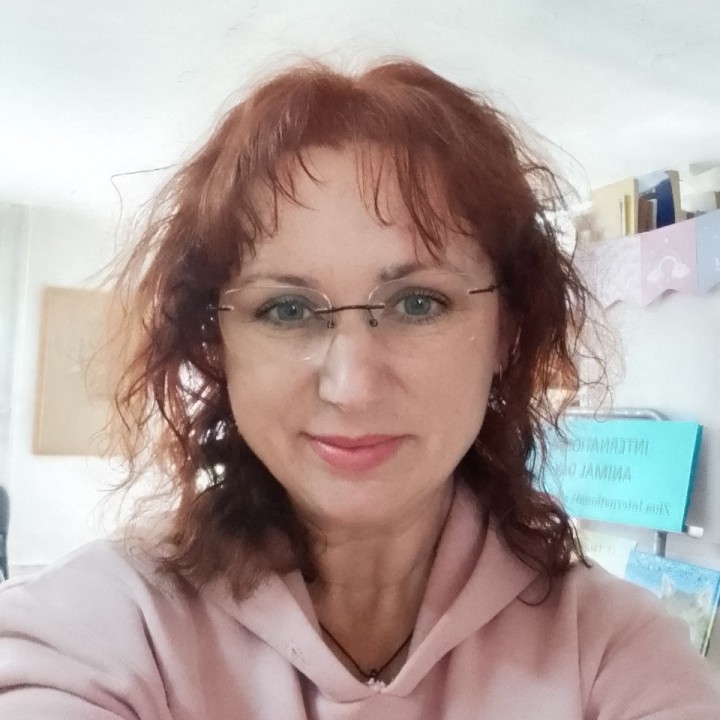 Manager de oficiu, manager logist, manager achizitii
