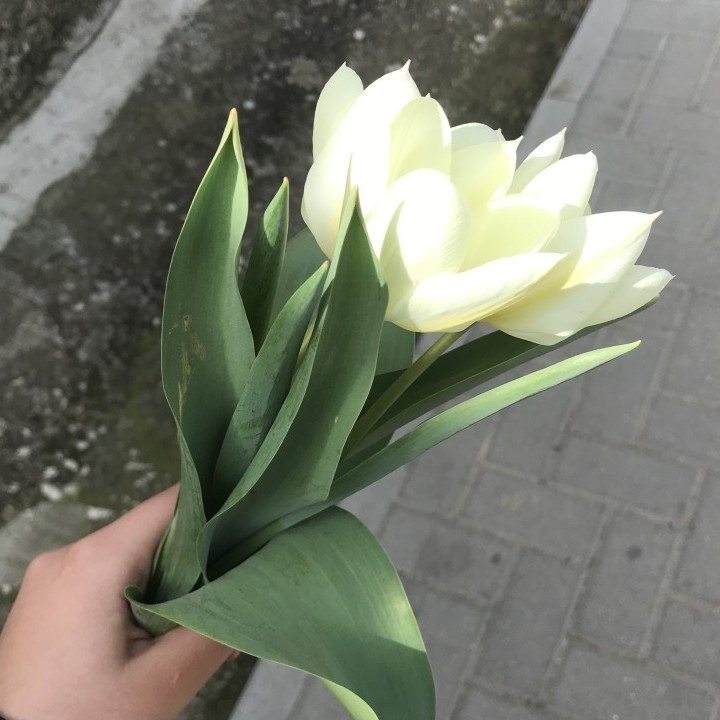 Повар 